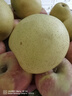 京鲜生安徽砀山 青皮皇冠梨净重3斤 单果200g+ 生鲜水果源头直发 实拍图
