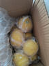 京鲜生 安岳黄柠檬 8粒 单果95-120g 生鲜水果 实拍图