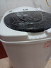 志高（CHIGO）脱水机甩干机小型迷你家用甩干桶出租房宿舍大容量单杠脱水桶烘干一体 9.8【蓝光不锈钢内筒】质保3年 实拍图