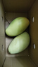 京喜加玉芒水果芒果新鲜上市 带箱1斤【单果200-300g】 实拍图