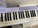 特伦斯折叠钢琴88键便携式电钢琴成人儿童电子琴重力度键盘V30pro钢琴 梦幻紫+专用琴包+Z型琴架 实拍图