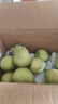 京鲜生 新疆特级库尔勒香梨 净重5斤单果120g以上 生鲜水果 实拍图