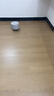 圣象PURE净味宠爱地板ENF无醛级抗菌除臭无缝超耐磨强化复合宠物推荐 NF5003可可熊包安装送辅料 实拍图