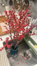 中梦北美冬青红果水培鲜花新年盆栽室内鲜切银柳真花鲜枝年宵花卉水养 A级北美冬青40厘米左右3枝（不含瓶） 晒单实拍图