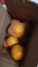 云南蜜橘 新鲜无籽薄皮桔子水果橘子橙子小青柠金桔沃柑小青柑 带箱3斤（55mm起） 实拍图