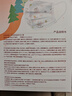 海氏海诺一次性儿童医用外科口罩6-12岁灭菌级口罩独立包装一只一袋防尘50 实拍图