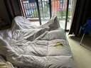 京东京造阿金朵100%天然新疆棉花被 纯棉被芯双人被冬季厚被8.6斤2x2.3m 实拍图