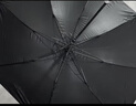 天玮伞业（Tianwei umbrella）雨伞长柄伞大号超大伞自动男士直杆伞高尔夫商务伞晴雨伞可定制 实拍图