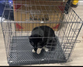 腆宠狗笼猫笼 狗笼子中小型犬带厕所幼犬狗窝猫笼子大号家用围栏兔笼 实拍图