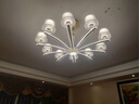 雷士（NVC）欧美轻奢水晶玻璃语音智能吊灯客厅吊灯餐厅灯灯具WHDD90F/G-01 实拍图