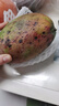 京鲜生杨枝甘露芒果 净重4.5斤 带箱5斤 单果500g+ 生鲜水果源头直发 实拍图