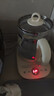 苏泊尔（SUPOR）养生壶 1.5L煮茶器花茶壶 电水壶烧水壶电热水壶开水壶 保温煮茶壶玻璃电茶壶 SW-15YJ33B 实拍图
