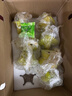 京鲜生 广东树熟杨桃 净重2.8~3斤装单果200g+新年礼物水果源头直发包邮 实拍图
