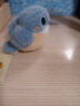 捉趣翠鸟毛绒玩具可爱小鸟玩偶公仔睡觉桌伴抱枕陪睡娃娃生日新年礼物 叉尾太阳鸟-约11cm+挂绳 鹦鹉鸟系列 实拍图