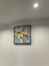 墨派（Mopai）餐厅装饰画手绘油画美式花卉高端客厅肌理挂画正方形壁画免打孔 春暖花开 50*50cm手绘油画 实拍图