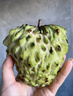 鲜福林云南牛奶凤梨释迦果新鲜应季水果超甜糯番荔枝 净重3斤（单果250g+ 甜糯爽滑) 实拍图