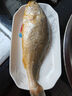 三都港 冷冻黄花鱼700g/2条装 宁德大黄鱼 深海鱼 生鲜 鱼类 海鲜 实拍图