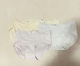 猫人内裤女士纯棉中腰无痕透气10A全棉抗菌裆女生三角短裤不夹臀 实拍图