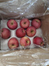 佳农烟台红富士苹果 净重10斤 特级果 单果240g+ 生鲜水果礼盒 实拍图