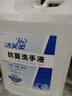洁芙柔抗菌洗手液补充装5L利康LK消毒医用杀菌抑菌酒店无香批发大桶10斤 实拍图
