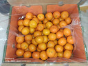 京鲜生 砂糖橘/砂糖桔 净重5斤精品果 生鲜水果年货礼盒  实拍图