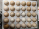 京鲜生柴鸡蛋30枚 3斤 无抗生素 谷物喂养鲜鸡蛋 源头直发 实拍图