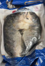 往牧叉尾鮰鱼 免处理 青江鱼 烤鱼精品  腌制半成品 冷冻生鲜 江团鱼 【大号5条】净重1.2-1.4斤/条 实拍图