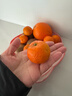 正宗广西砂糖橘当季新鲜水果皮薄多汁无籽橘子 超甜中大果带箱2斤 实拍图