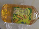金龙鱼 食用油 非转基因 物理压榨玉米油6.18L（蕴含植物甾醇） 实拍图
