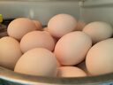 温氏供港L级大码鲜鸡蛋30枚/3.6斤 谷物喂养 无抗生素 生鲜早餐食材 实拍图
