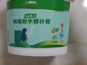 三棵树漆墙面修补膏防霉抗菌白色墙面去污修复腻子粉膏墙皮脱落防水补墙膏 实拍图
