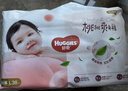 好奇（Huggies）铂金装小桃裤拉拉裤L76片(9-14kg)大号尿不湿【透爽散热】 实拍图