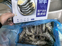 鲜京采 鲜冻大号黑虎虾 去冰净重2斤 31-40只/盒 斑节对虾 实拍图