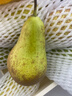京鲜生  荷兰啤梨 微催熟净重3斤装  生鲜水果  源头直发 实拍图