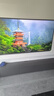 Vidda R Pro 85英寸 海信电视 264Hz高刷高色域 QD量子点 一级能效国家补贴液晶超薄电视机85VR1Q-PRO 实拍图