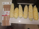 【新鲜甜玉米】现摘新鲜水果玉米新鲜甜玉米棒生鲜蔬菜可生吃早餐 新鲜水果玉米 3斤 净重 300g起 实拍图