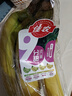 佳农 进口香蕉净重4斤（约10-12根）单根蕉 独立装 生鲜水果 新鲜包邮 实拍图