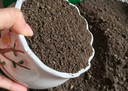 优质田园土泥土黑土盆栽通用种菜专用土种植土壤种树养花土 田园黑土28斤 实拍图