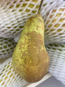 京鲜生  荷兰啤梨 微催熟净重3斤装  生鲜水果  源头直发 实拍图