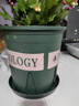 九千谷花盆加仑盆 园艺种植家用塑料花盆兰花盆带托盘24*24cm3个装5082 实拍图