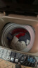 志高（CHIGO）全自动洗衣机 家用小型波轮 洗脱一体机大容量 公寓宿舍出租房 咖啡金 10kg 【蓝光洗护+风干洁桶+强电机】 实拍图