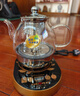 金灶（KAMJOVE） 煮茶器喷淋式全自动煮茶壶 玻璃养生壶烧水壶蒸煮一体恒温电热水壶冲泡茶煮花茶黑茶A-99 全自动喷淋煮茶壶 0.8L 实拍图
