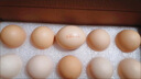 牧族可生食新鲜鸡蛋NSF认证无抗生素 可生食30枚 实拍图