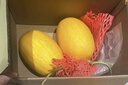 京鲜生 黄金哈密瓜 1粒装 单果3斤起  生鲜水果  实拍图