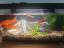 米家（MIJIA）智能生态鱼缸还原自然生态 智能鱼缸+滤芯套装 实拍图