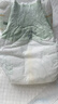 babycare金山茶花纸尿裤S58片(4-8kg)新生儿婴儿尿不湿超薄透气轻柔花苞裤 实拍图