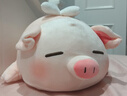名创优品（MINISO）小猪B-BO弹力超柔趴姿毛绒公仔玩偶抱枕玩具送女友生日新年礼物女 实拍图
