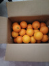 天乐优选麻阳冰糖橙新鲜橙子水果当季整箱果冻甜橙手剥橙子爆汁应季时令 净重4.5斤单果60mm以下 实拍图