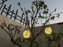 驭阳 太阳能灯庭院灯户外装饰灯家用挂灯景观花园别墅阳台室外氛围灯 【2只】裂纹挂 30LED暖光 太阳能挂树灯 实拍图