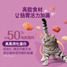 伟嘉成猫猫粮全价粮1.3kg海洋鱼味夹心粮布偶蓝猫橘猫 实拍图